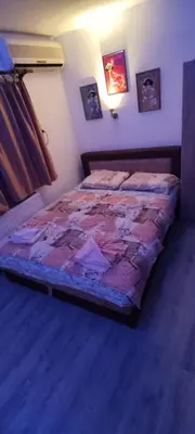 a bedroom with a bed in a room at Apartman Aki in Niš