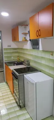 a kitchen with a stove and a sink at Apartman Aki in Niš