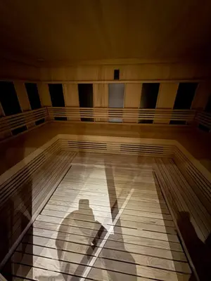 a shadow of a man on a dance floor at Gold Elegant & Spa Kop in Kopaonik