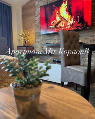 a living room with a table and a fireplace at Apartmani Mir Kopaonik in Kopaonik