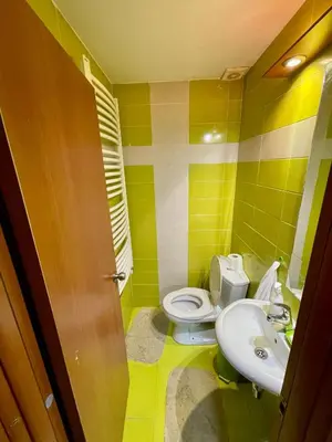 a bathroom with a toilet and a sink at Kuća Vujović in Niš