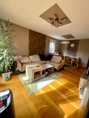 a living room with a couch and a table at Kuća Vujović in Niš