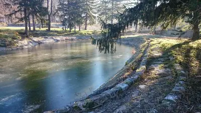 a river in a park with trees and water at Musical Pansion Radgost, Rtanj in Rtanj