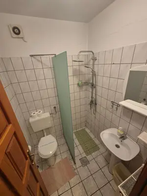 a bathroom with a shower and a toilet and a sink at Vila Vienna in Zaječar
