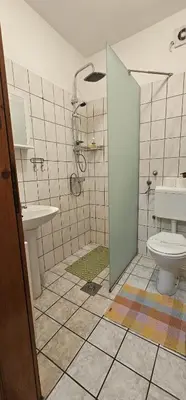 a bathroom with a shower and a toilet and a sink at Vila Vienna in Zaječar