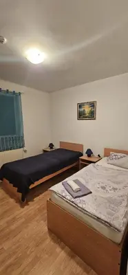 a bedroom with two beds in a room at Vila Vienna in Zaječar