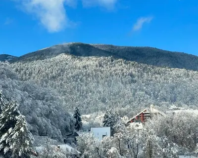 a snow covered mountain with a house in the foreground at 