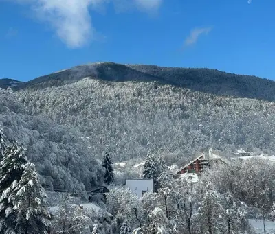 a snow covered mountain with a house and trees at 