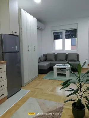 a living room with a couch and a table at Apartman Konak in Vrnjačka Banja