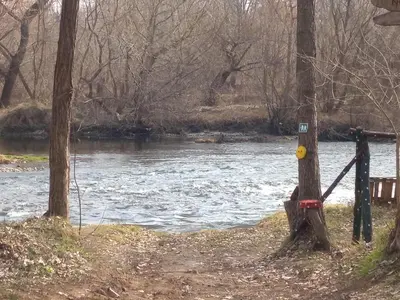 a sign on two trees next to a river at Seoska idila in Bela Palanka