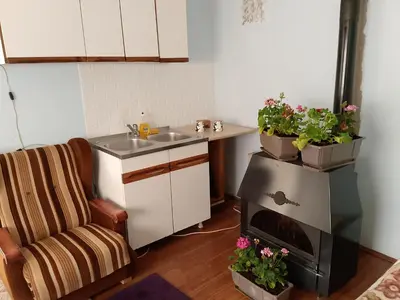 a kitchen with a stove and a sink with plants at Seoska idila in Bela Palanka
