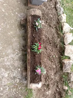 a garden with two plants on a wooden post at Seoska idila in Bela Palanka