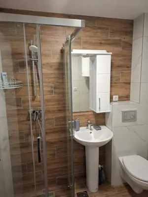 a bathroom with a shower and a sink and a toilet at Apartman STAR Vrnjačka Banja in Vrnjci