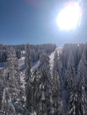 Gallery image of Woodside free parking in Kopaonik