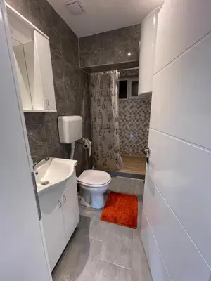 Gallery image of Kocić apartmani in Pojate