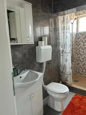 Gallery image of Kocić apartmani in Pojate