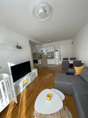 a living room with a gray couch and a kitchen at Sunshine Lux in Vrnjačka Banja