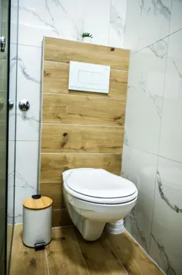 a bathroom with a white toilet in a room at STAN na DAN MITIC FREE PARKING in Vranje