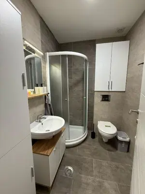 a bathroom with a shower and a sink and a toilet at Royal apartmani Vrnjačka Banja in Vrnjci