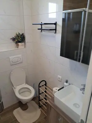 a bathroom with a toilet and a sink at Apartman S&U in Soko Banja