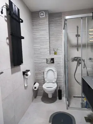 a bathroom with a toilet and a shower at 