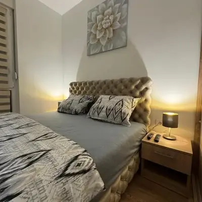 Apartman CRYSTAL Vrnjačka Banja