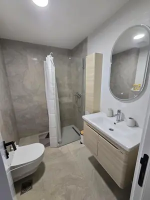 a bathroom with a toilet and a sink and a shower at Sunny lux apartman II in Vrnjačka Banja