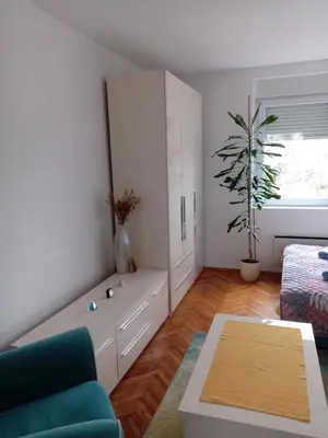 a living room with a couch and a potted plant at Apartman Klinički Centar Niš in Niš