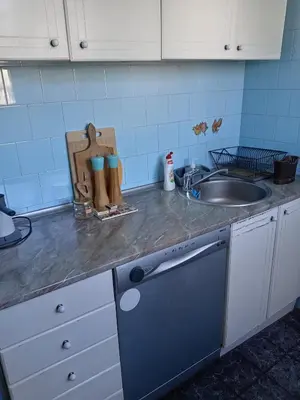 a kitchen counter with a sink and a dishwasher at Apartman Klinički Centar Niš in Niš