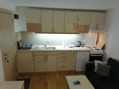 a small kitchen with a sink and a refrigerator at Royal 019 in Vrnjačka Banja