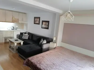 a living room with a black couch and a table at Royal 019 in Vrnjačka Banja
