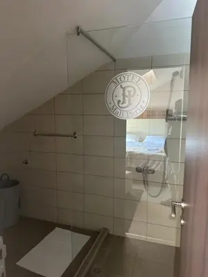 a bathroom with a shower with a glass door at JP Motel Mali Pariz in Bor