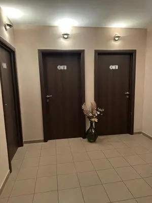 a hallway with two brown doors and a vase with flowers at JP Motel Mali Pariz in Bor