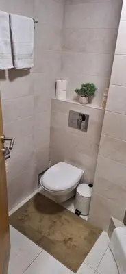 a bathroom with a toilet and a plant on a shelf at Soko Bajka 1 in Soko Banja