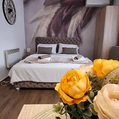 Soko Bajka 1