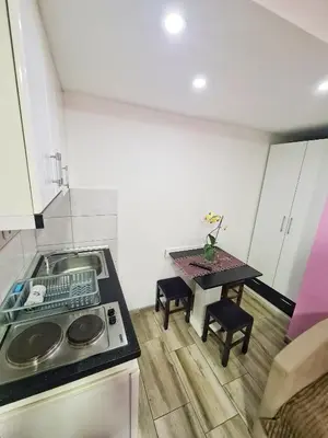 a small kitchen with a table and a stove at Vila Aleksandra 2 studio 4 in Soko Banja