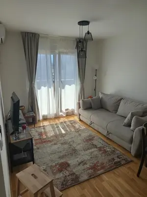 a living room with a couch and a rug at Ramonda apartman sa bazenom, Vrnjačka Banja in Vrnjačka Banja