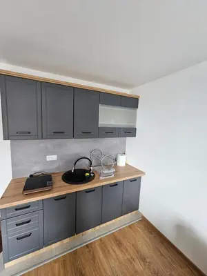 a kitchen with gray cabinets and a wooden counter top at Kopaonik Alibi IRIS10 in Kopaonik