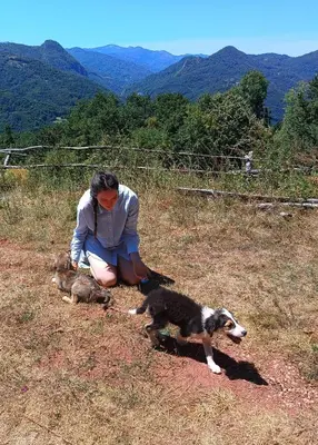 a woman sitting in a field with two dogs at Vila Dika in Poganovo