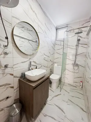 a bathroom with a sink and a mirror and a toilet at Elena apartman in Vranje