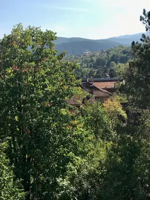 a group of trees with houses in the distance at Apartman Moj kutak 29 in Vrnjačka Banja
