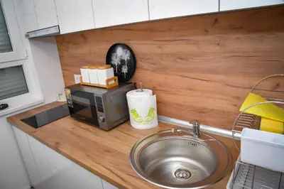 a kitchen counter with a sink and a microwave at Sunčani Horizonti in Soko Banja