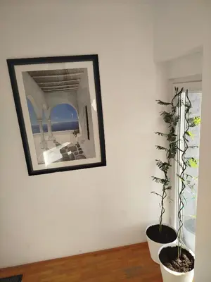 a picture on a wall with two potted plants at VILA RUŽA - Grand apartman 1 in Soko Banja