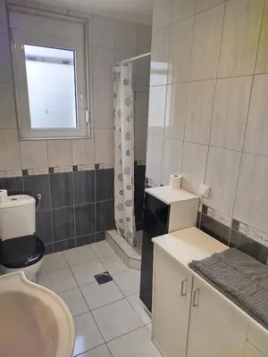 a bathroom with a sink and a toilet and a window at VILA RUŽA - Grand apartman 2 in Soko Banja