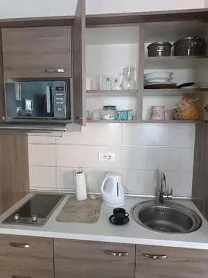 a kitchen with a sink and a microwave at Central Park in Niš