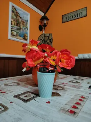 a vase of flowers sitting on top of a table at Smestaj Bojanine Vode in Niš