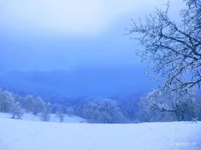 a snow covered hill with trees in the distance at Smestaj Bojanine Vode in Niš