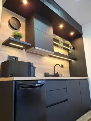 a kitchen with a black refrigerator and a sink at President kop APP Katarina II free wellnes&spa in Kopaonik