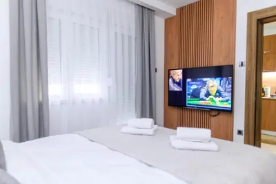 a bedroom with a bed and a tv on a wall at BOŽUR apartmani, kod hotela Sunce in Soko Banja