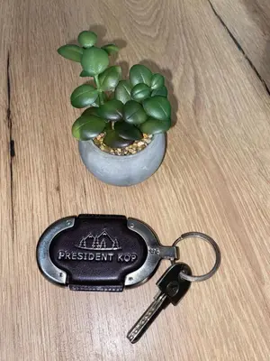 a key chain next to a potted plant on a table at Magia Vido Apartment-President Kop A109 in Kopaonik